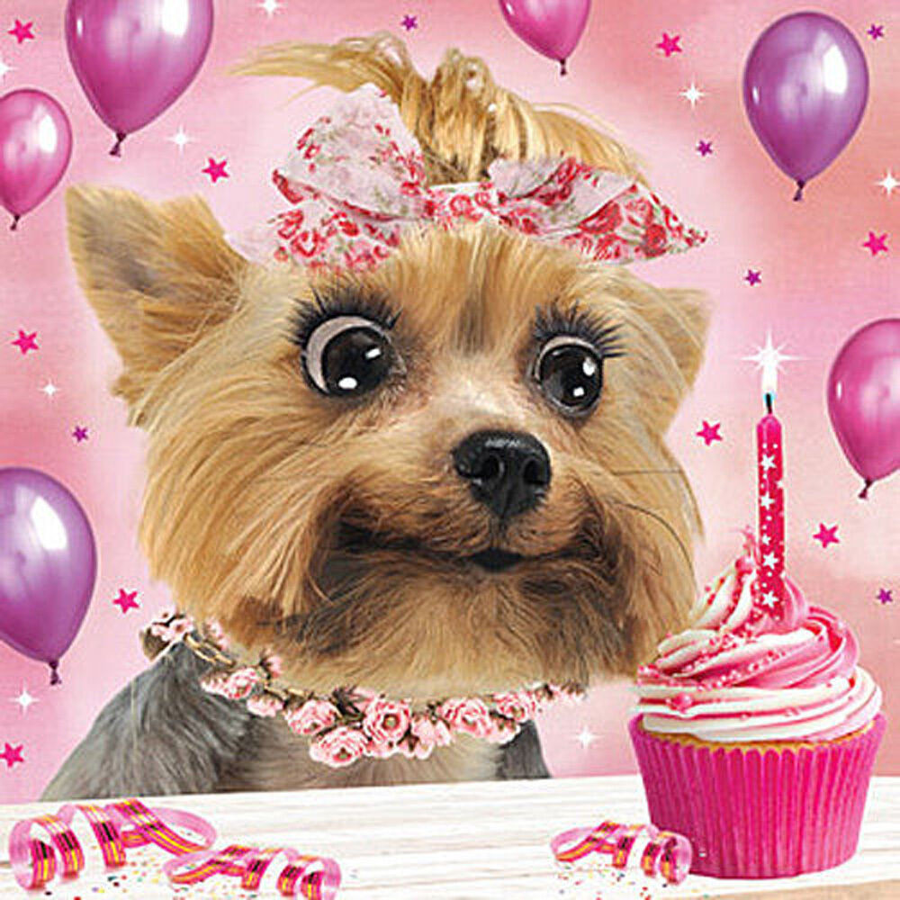 Dog Birthday Card
 3D Holographic Birthday Card Yorkshire Terrier Dog