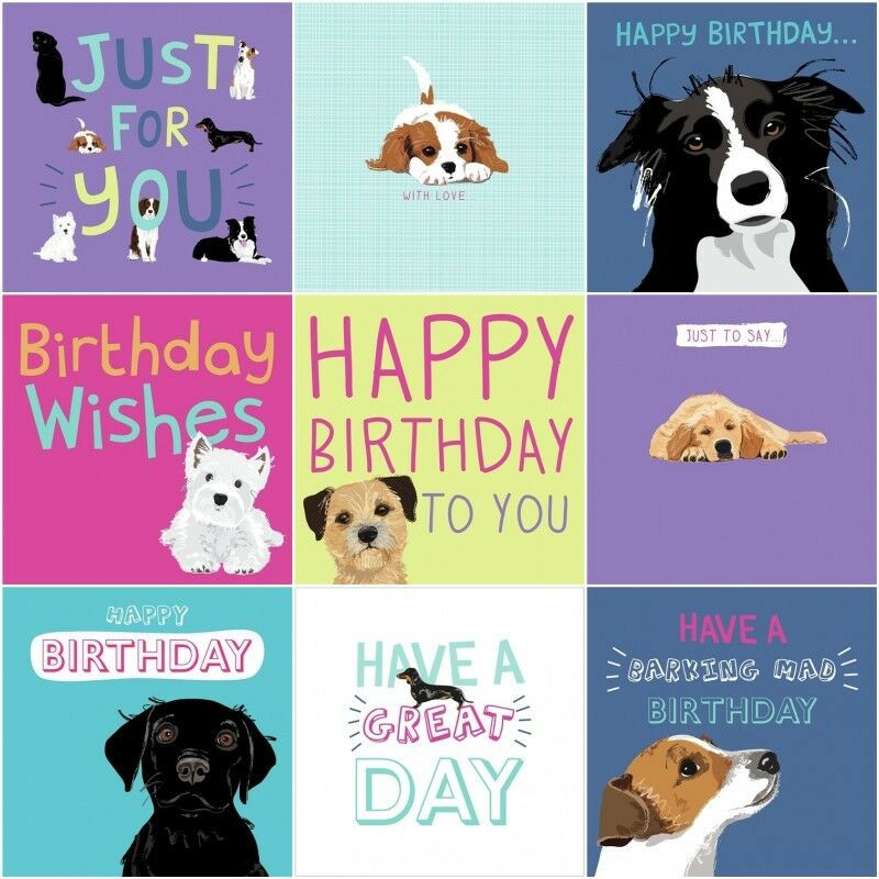 Dog Birthday Card
 Dogs Trust Charity Greeting Birthday Card by Waggy Tails