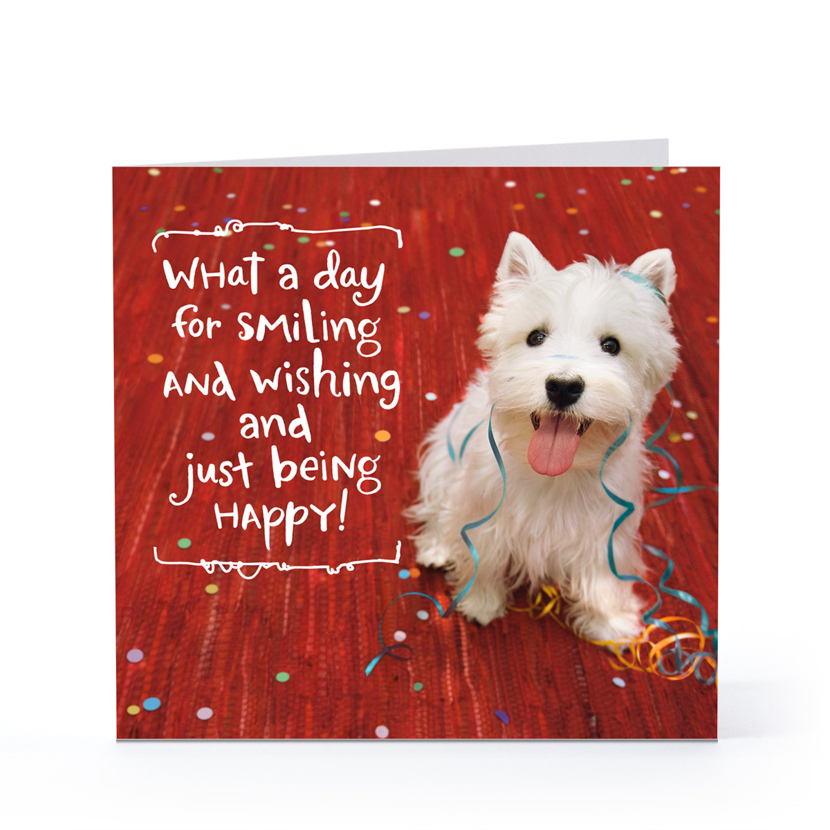 Dog Birthday Card
 Smiling Happy Dog Birthday Cards Hallmark Card