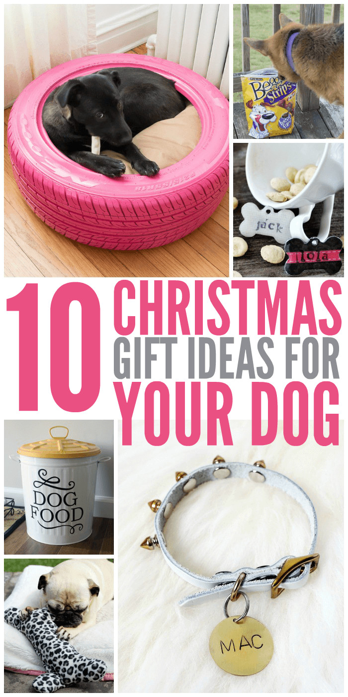Dog Birthday Gift Ideas
 10 Christmas Gift Ideas for Your Dog Glue Sticks and