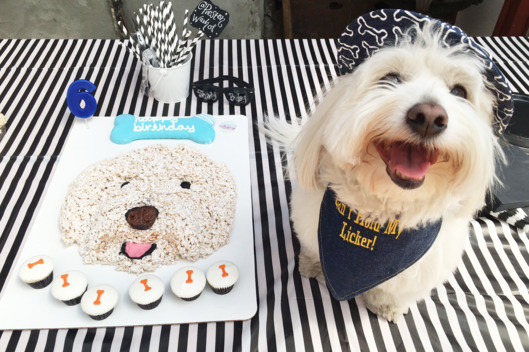 Dog Birthday Gift Ideas
 Dog Parties The Best New Way to Waste Money The Cut
