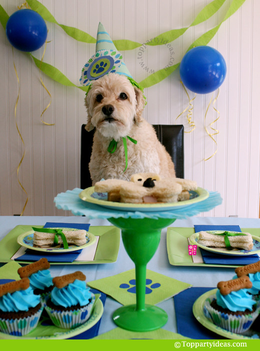 Dog Birthday Party
 15 Times Humans Treated Their Dogs Like Their Own Babies