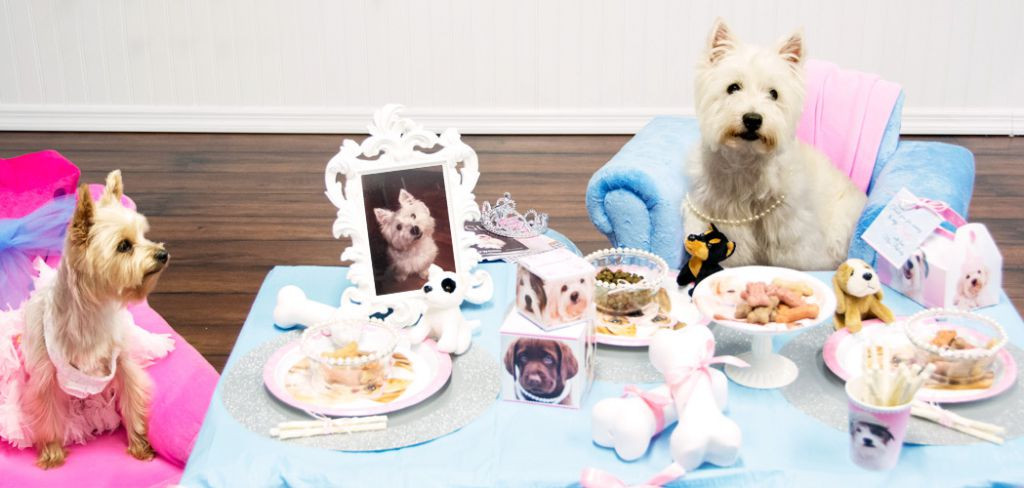Dog Birthday Party
 Glamour Dogs Party for your special furry family member