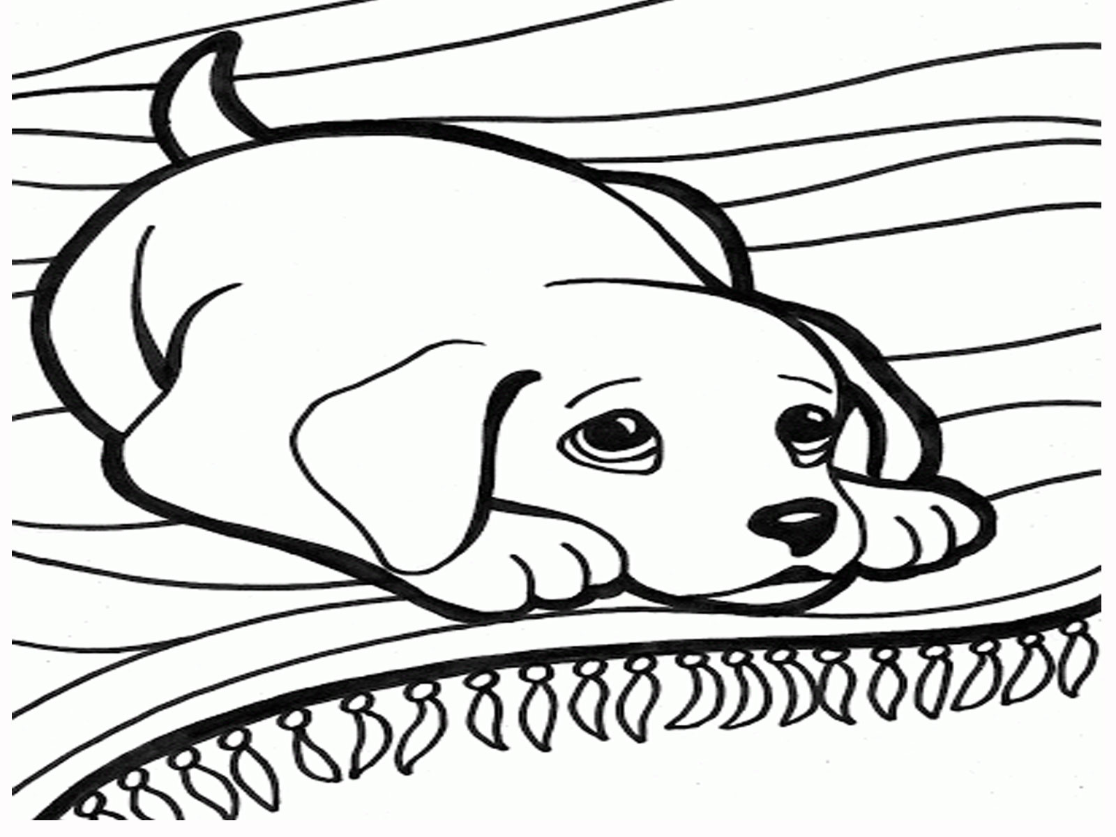 Dog Coloring Pages For Boys
 Dog Cartoon And Coloring Pages