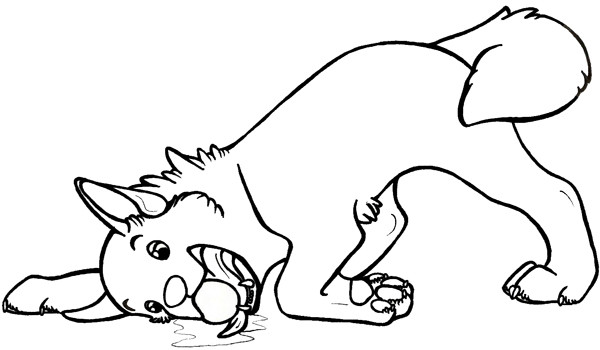 Dog Coloring Pages For Boys
 Husky Coloring Pages