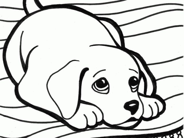 Dog Coloring Pages For Boys
 33 best Dog Coloring Pages images on Pinterest