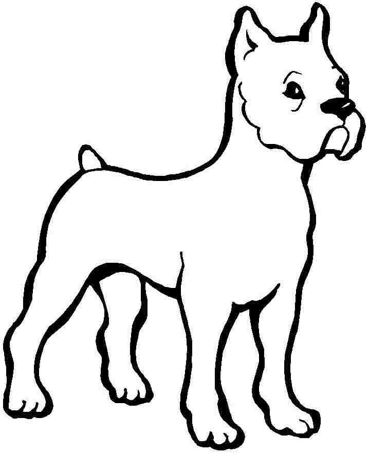 Dog Coloring Pages For Boys
 Colouring Pages Animal Dogs Free Printable For Kids & Boys