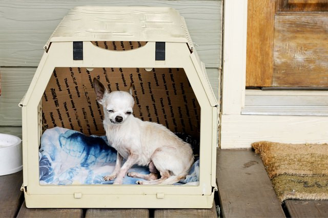 Dog Crate Divider DIY
 How to Make a Crate Divider