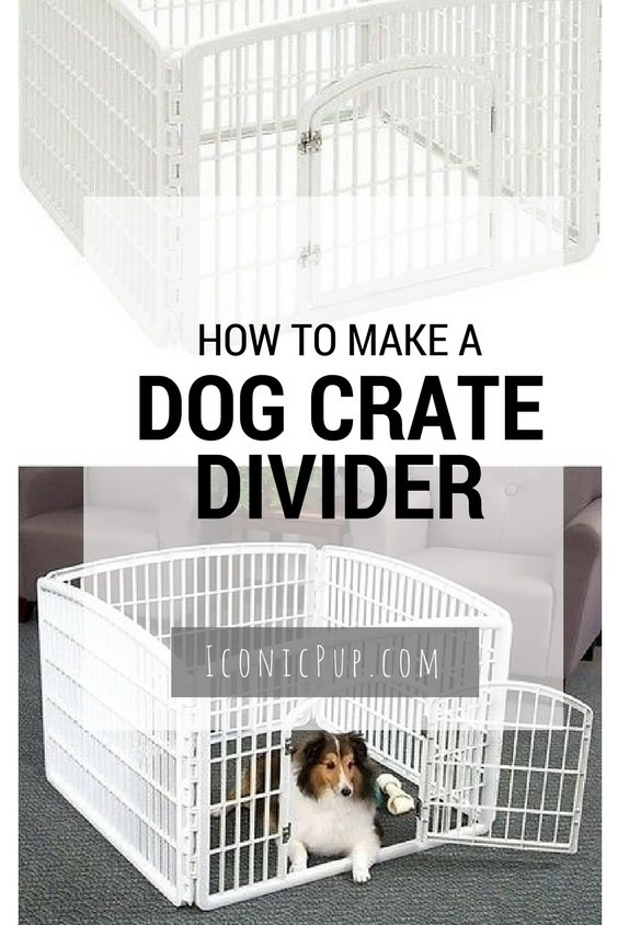 Dog Crate Divider DIY
 Plastic Dog Crate Divider Goldenacresdogs