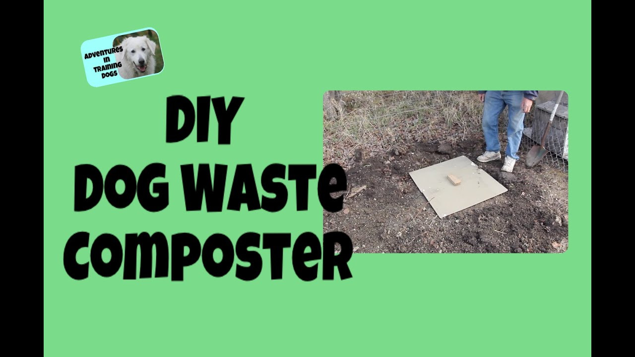 Dog Poop Composter DIY
 DIY Dog Waste poster