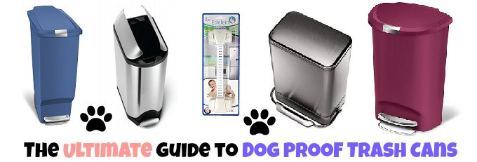 Dog Proof Trash Can DIY
 The Ultimate Dog Proof Kitchen Trash Can Guide