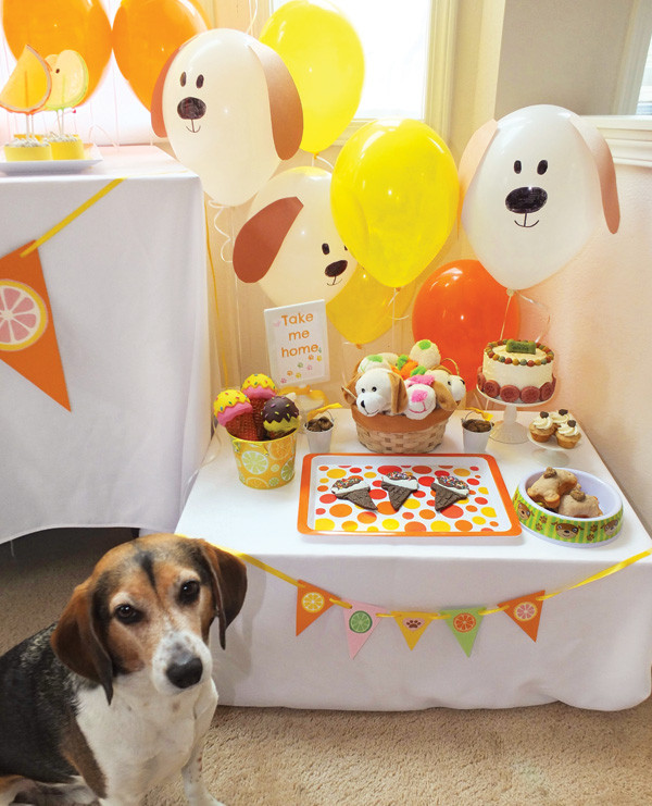 Doggie Birthday Party
 Dog Days of Summer Puppy Party Party on a Dime 1