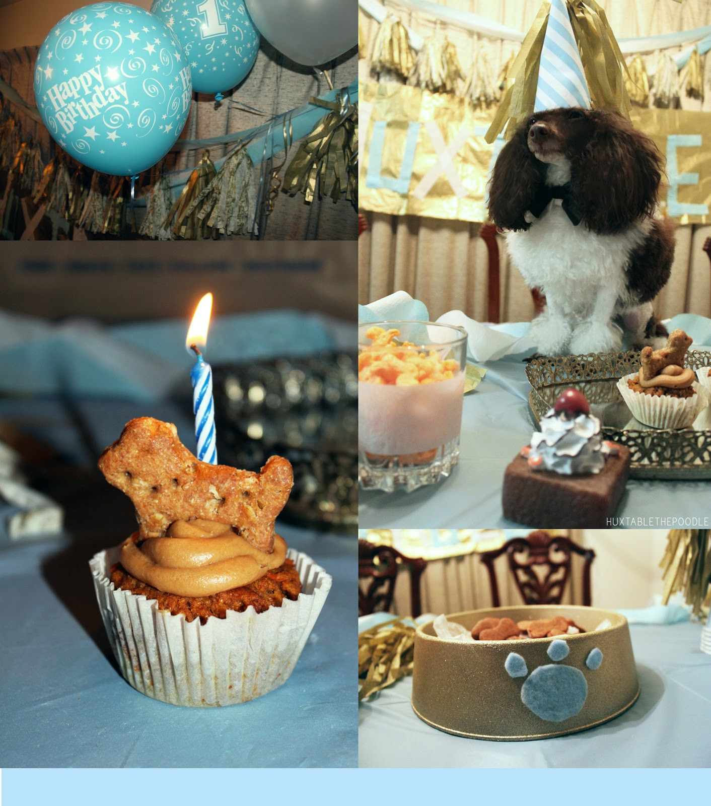 Doggie Birthday Party
 Huxtable The Poodle Toy Poodle Blog