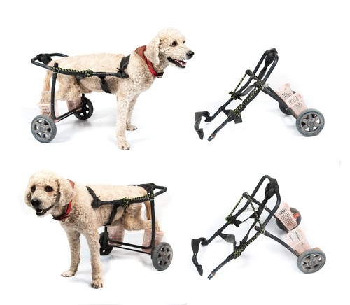 Doggie Wheelchair DIY
 DIY Dog Wheelchair How to Make a Wheelchair for Dogs By
