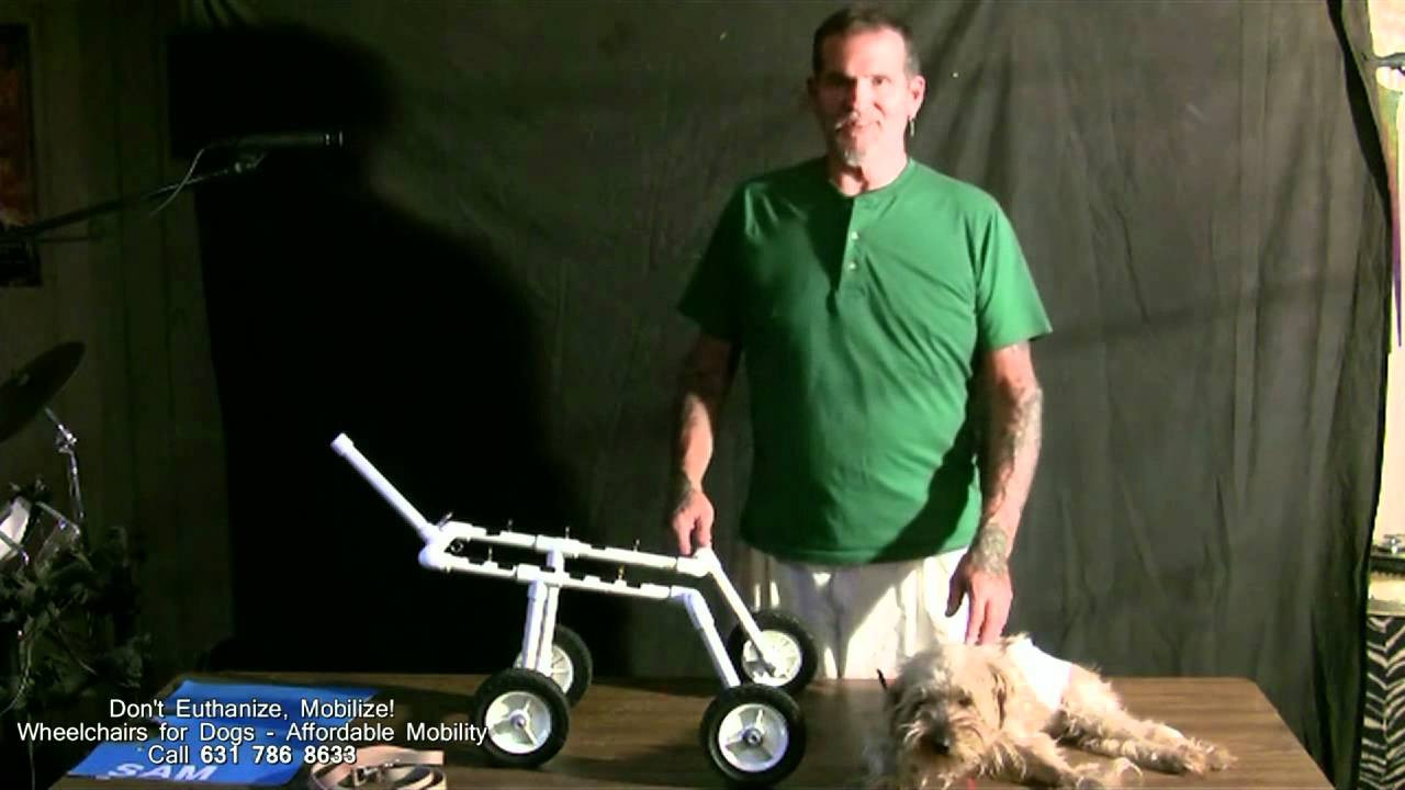Doggie Wheelchair DIY
 Wheelchairs for Dogs