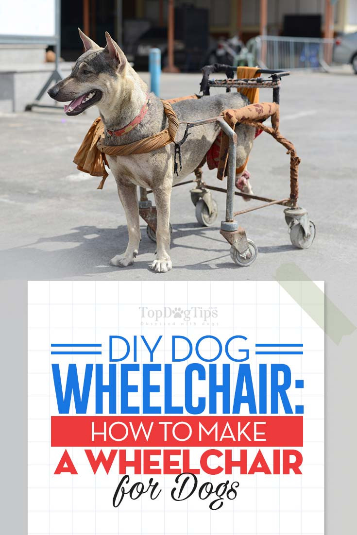 Doggie Wheelchair DIY
 DIY Dog Wheelchair How to Make a Wheelchair for Dogs By