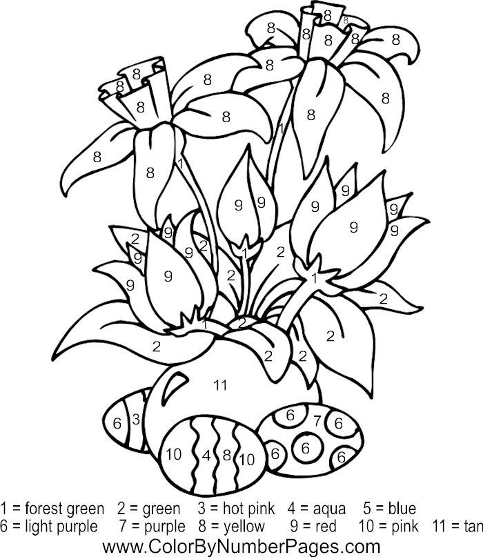Download Coloring Pages For Kids
 Download and print these Printable Color By Number
