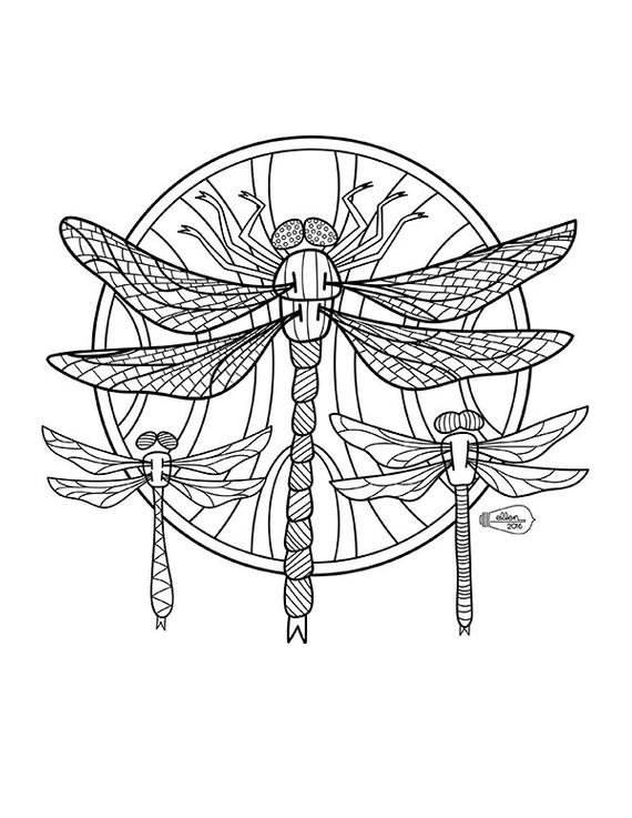 Dragonfly Coloring Pages For Adults
 Dragonflies Adult Coloring page Digital stamp