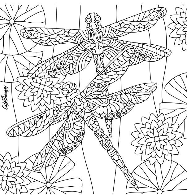 Coloring Pages Of A Dragonfly Coloring Pages