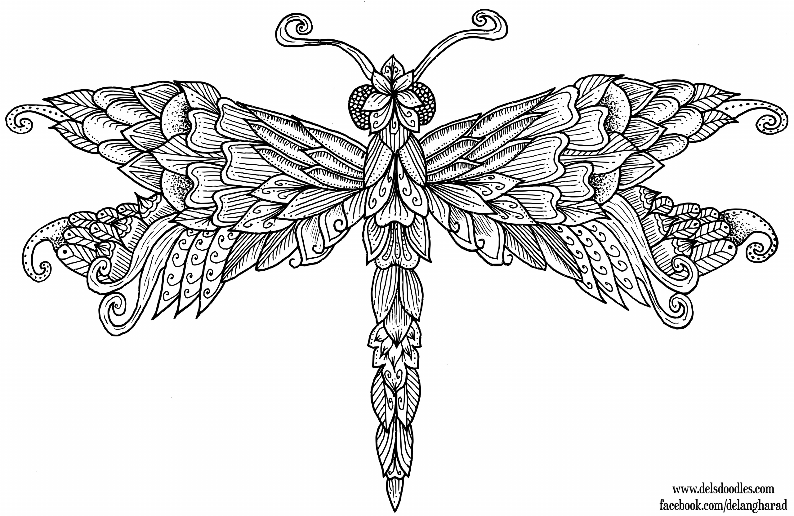 DragonflyColoring Pages Free Printables