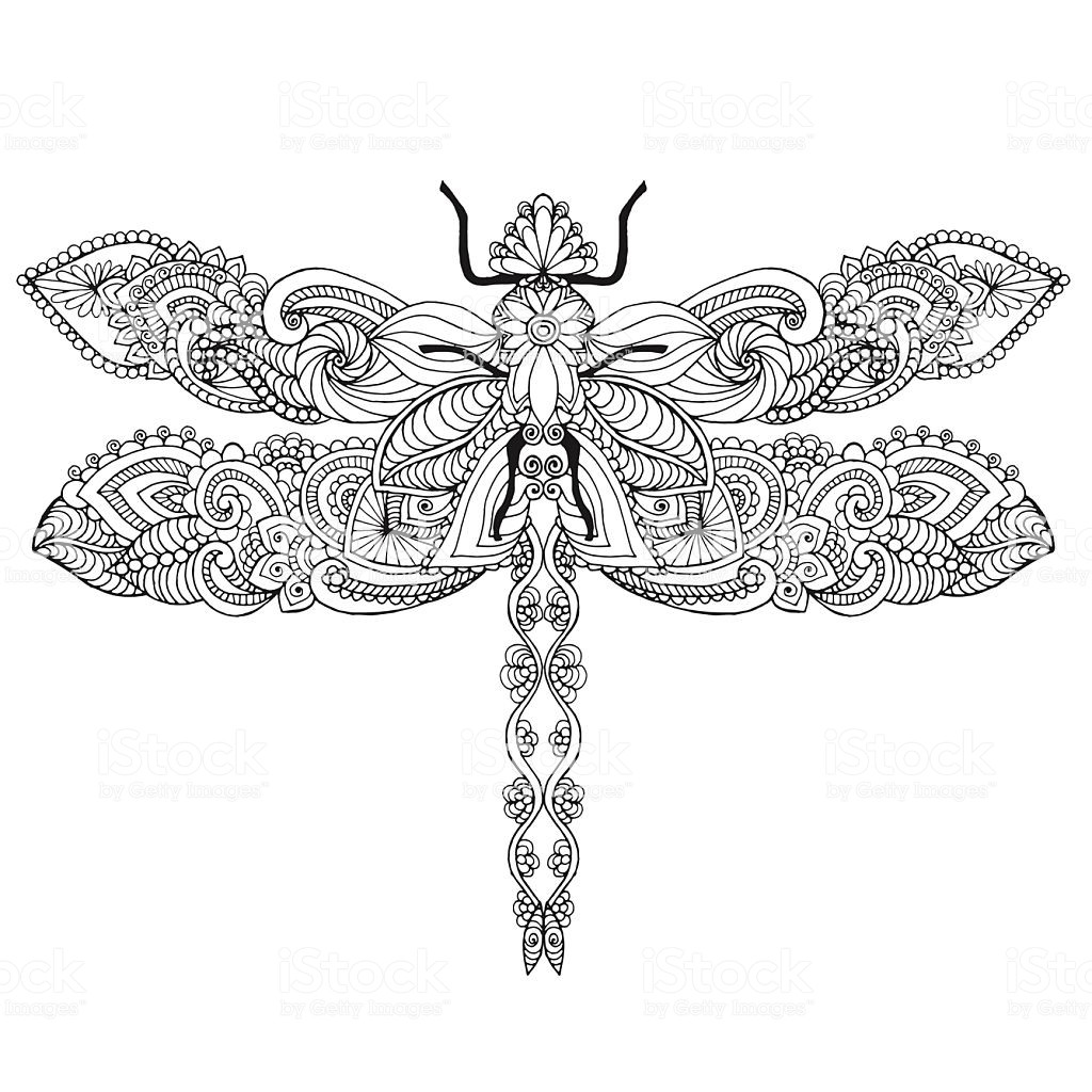 Dragonfly Coloring Pages For Adults
 Dragonfly Stock Illustration Download Image Now iStock