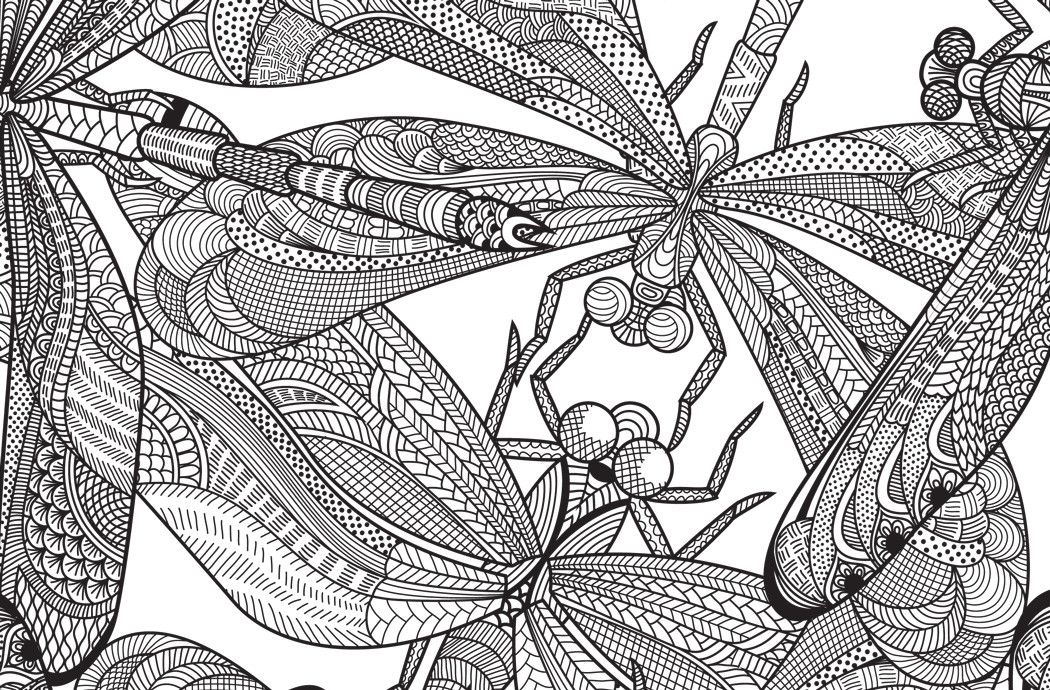 Dragonfly Coloring Pages For Adults
 Dragonfly Free Pattern Download Hobbycraft Blog