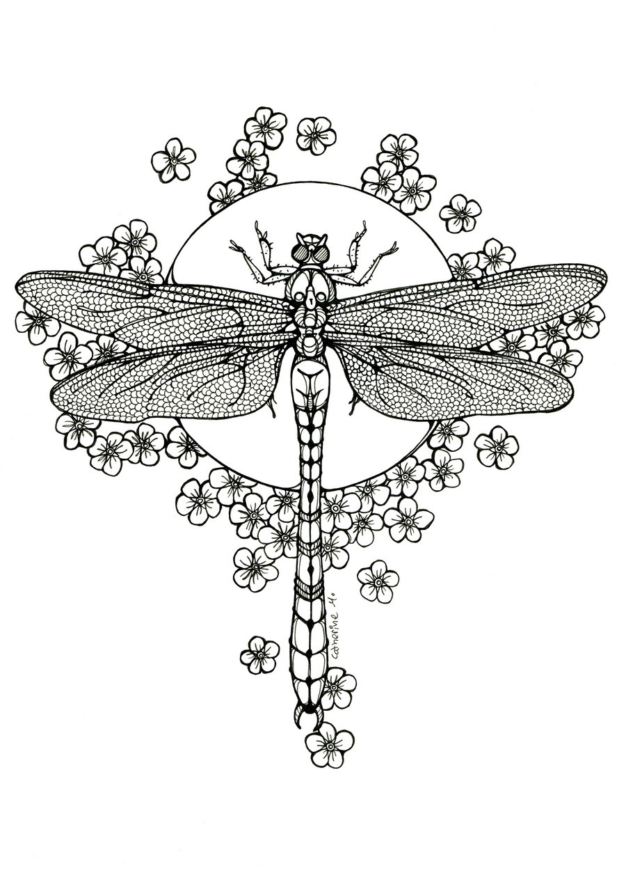 Dragonfly Coloring Pages For Adults
 Dragonfly lineart by CathM on DeviantArt