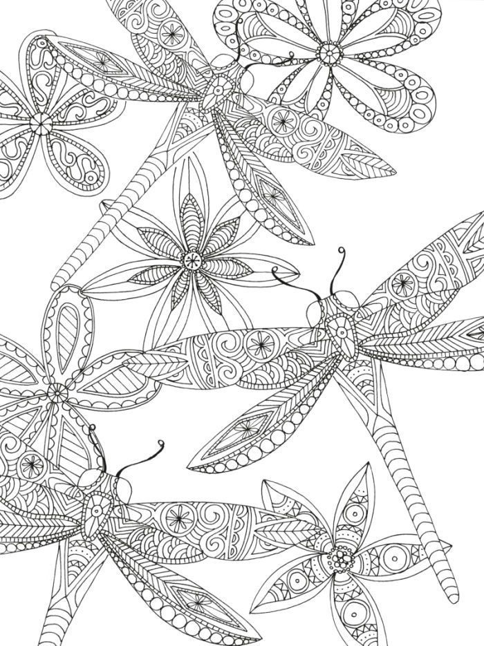 Dragonfly Coloring Pages For Adults
 Dragon Flies by Lizzie Preston adult colouring
