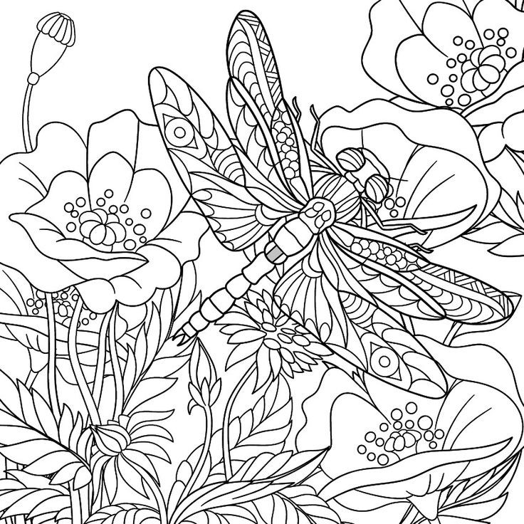 Dragonfly Coloring Pages For Adults
 702 best images about Animal Coloring Pages for Adults on