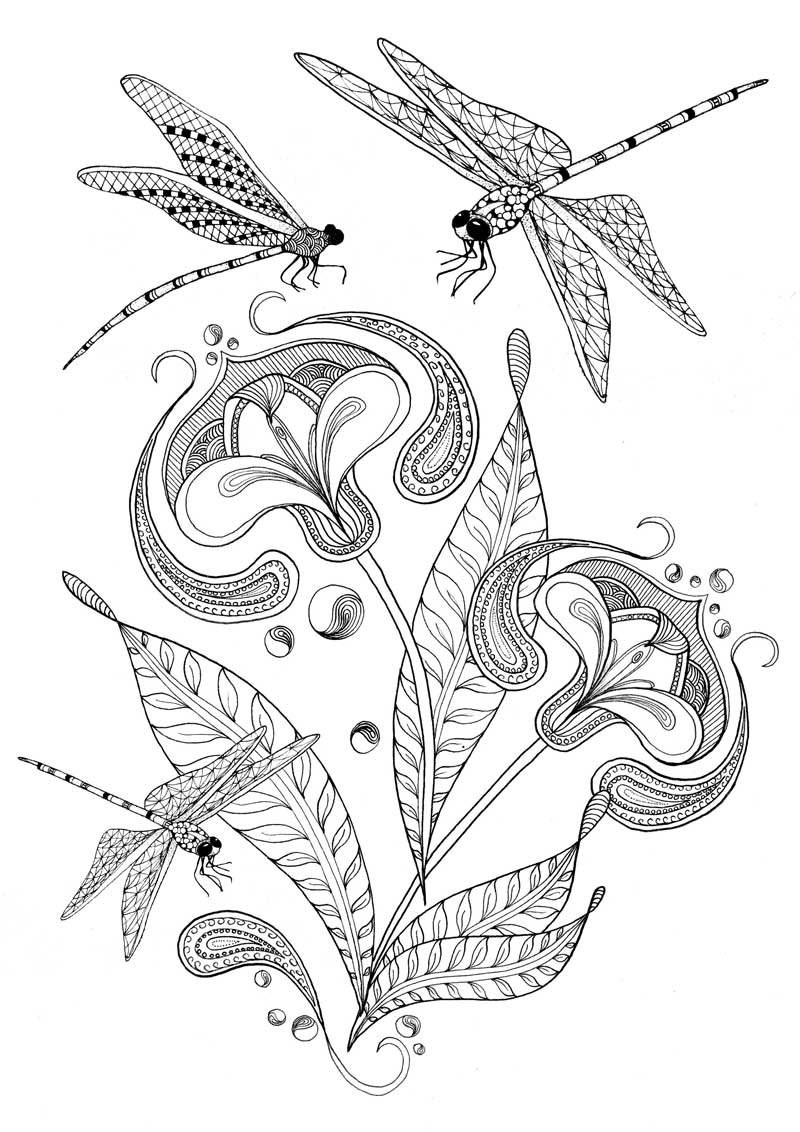 Dragonfly Coloring Pages For Adults
 Adult colouring pages of dragonfly and flower illustration
