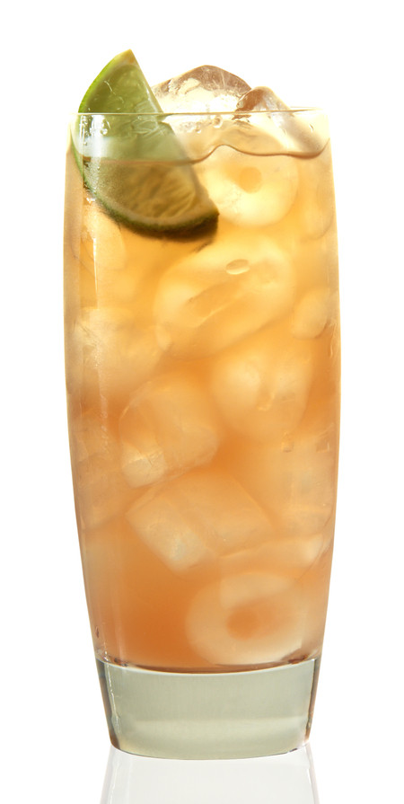 Drinks With Southern Comfort
 Top 10 Southern fort Drinks With Recipes