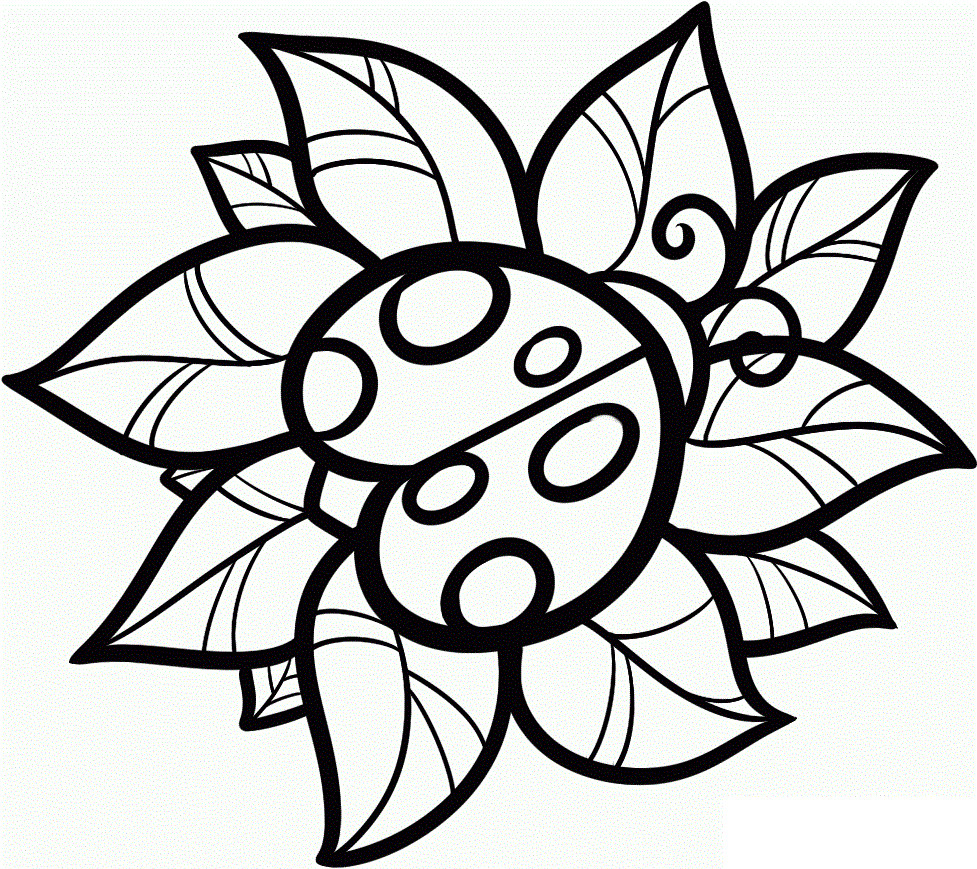 Easy Adult Coloring Pages
 Free Printable Ladybug Coloring Pages For Kids
