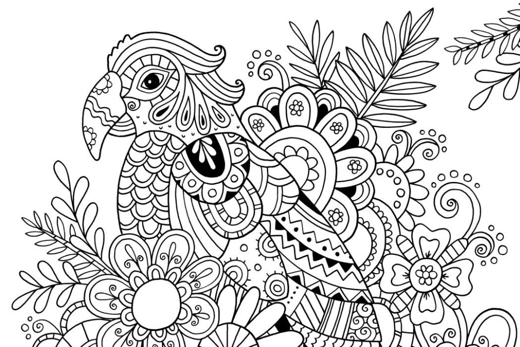 Easy Adult Coloring Pages
 How to Draw Zentangle Patterns Hobbycraft Blog