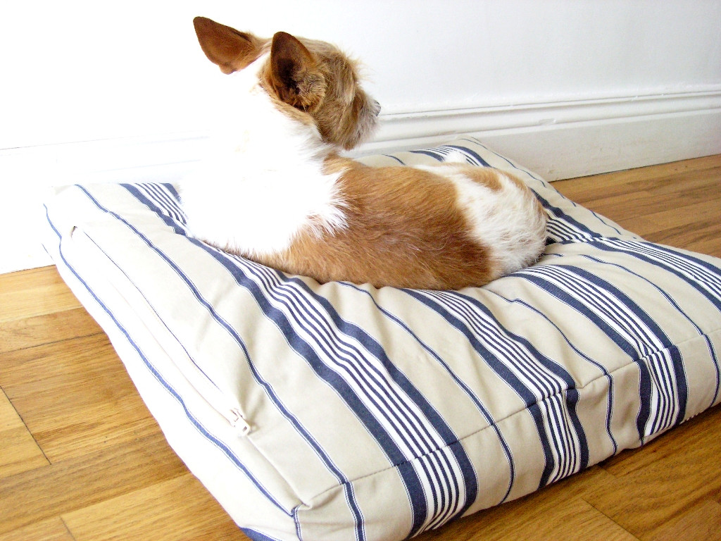Easy DIY Dog Beds
 made DIY Dog Bed