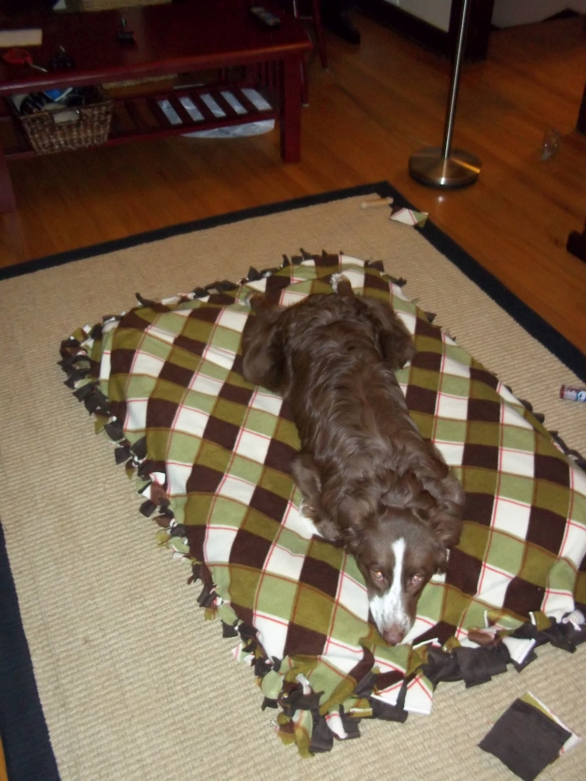Easy DIY Dog Beds
 Our Big Blue House Homemade Dog Bed