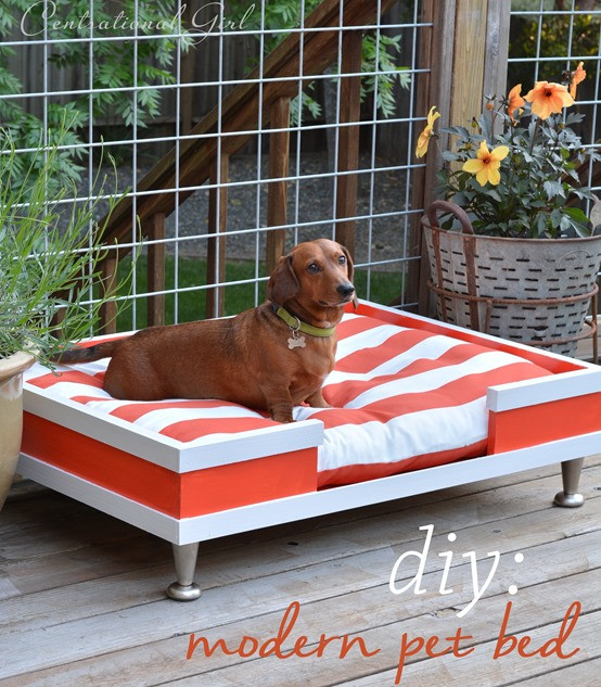 Easy DIY Dog Beds
 Creative DIY Dog Beds