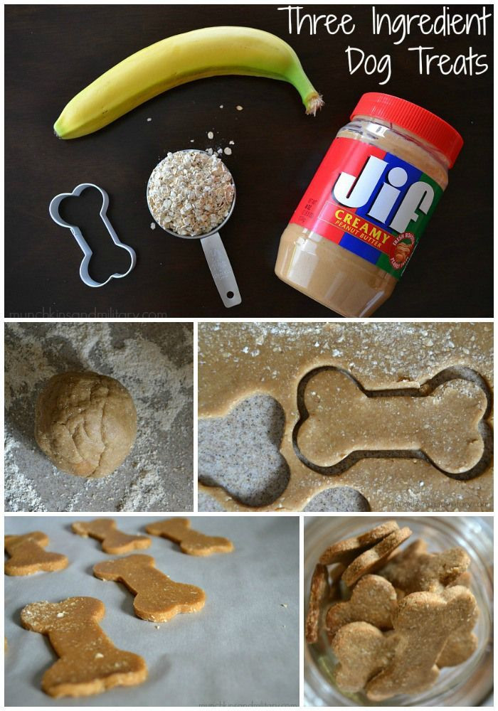 Easy DIY Dog Treats
 Homemade Peanut Butter Banana Dog Treats Munchkins and