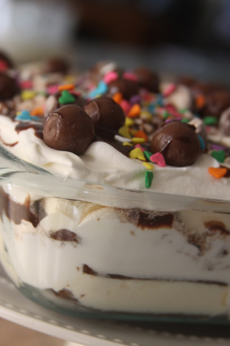 Easy Ice Cream Cake Recipes For Kids
 Easy Homemade Ice Cream Cake