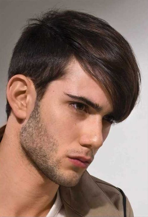 Easy Mens Hairstyle
 25 Simple Haircuts for Mens 2018