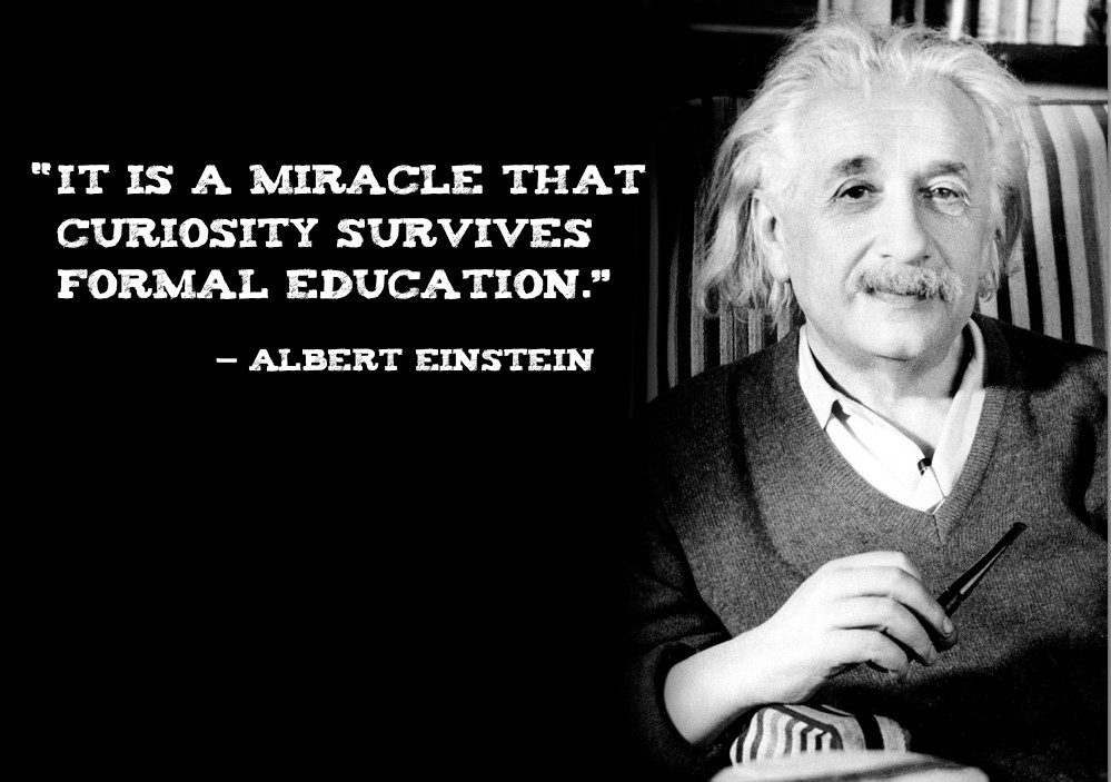 Einstein Education Quotes
 A Good School Quotes