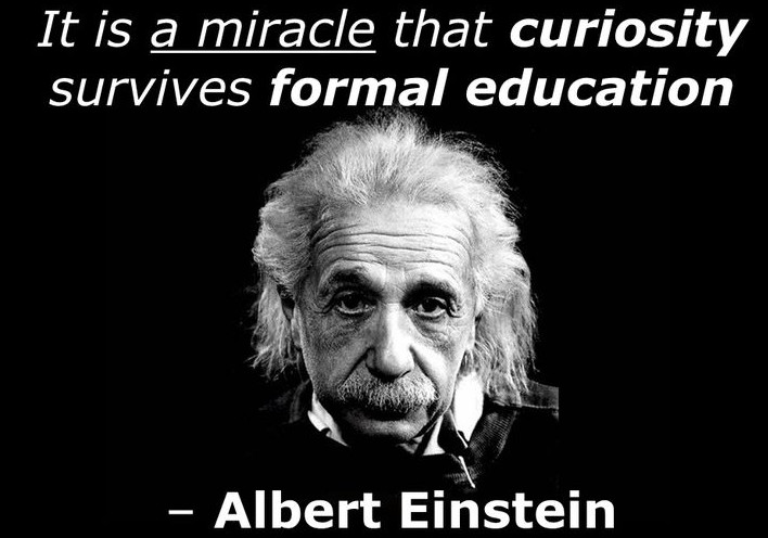Einstein Education Quotes
 31 Amazing Albert Einstein Quotes with Funny