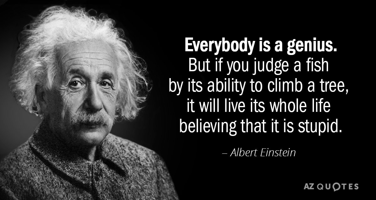 Einstein Quotes Education
 Albert Einstein quote Everybody is a genius But if you