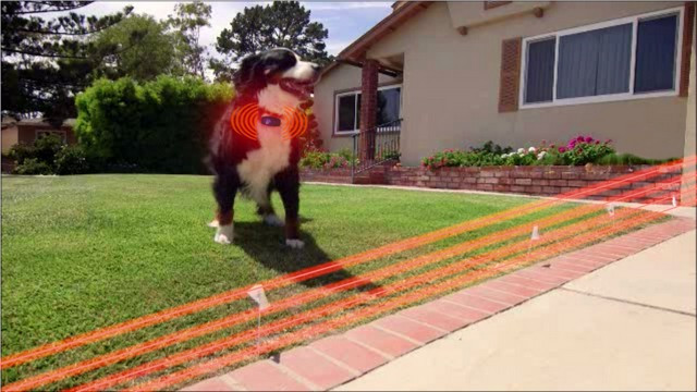 Electric Dog Fence Above Ground
 Electric Dog Fence Reviews 2015 & 2016