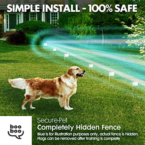 Electric Dog Fence Above Ground
 The 9 Best Wireless Dog Fences & Reviews April 2019