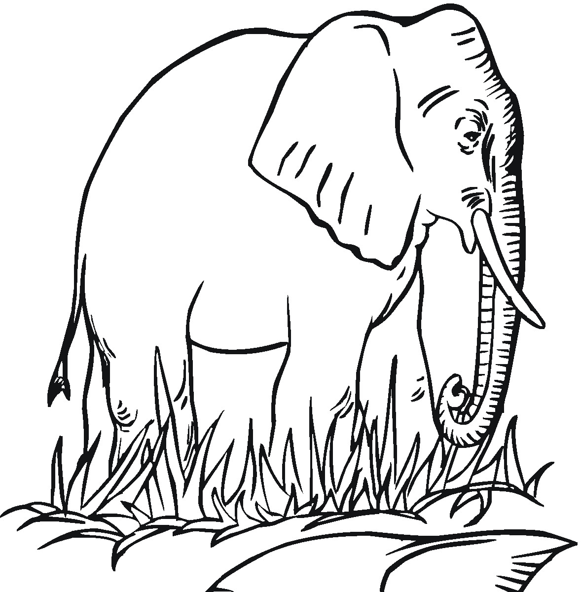 Elephant Coloring Pages For Kids
 Free Printable Elephant Coloring Pages For Kids