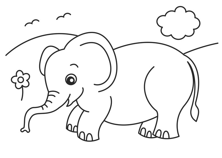 Elephant Coloring Pages For Kids
 Baby Elephant Coloring Pages Animal