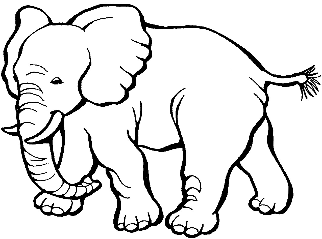 Elephant Coloring Pages Printable
 Free Printable Elephant Coloring Pages For Kids