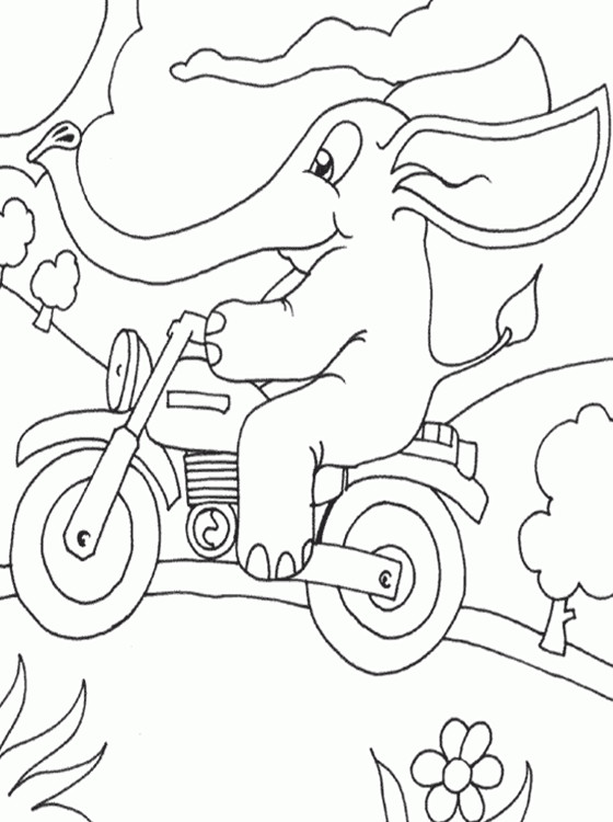 Elephant Coloring Pages Printable
 Kids Page Elephant Coloring Pages