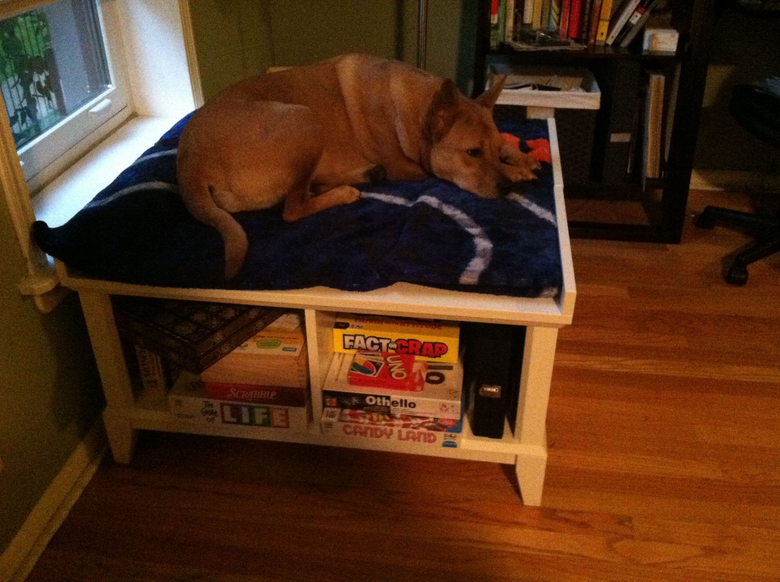 Elevated Dog Beds DIY
 Best 25 Raised dog beds ideas on Pinterest