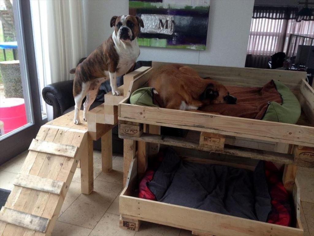 Elevated Dog Beds DIY
 Diy Elevated Dog Bed With Steps Home & Garden Jessie